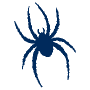 Richmond Spiders